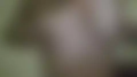 Aquí, con ganas de Follar duro🤤 by chicapassion