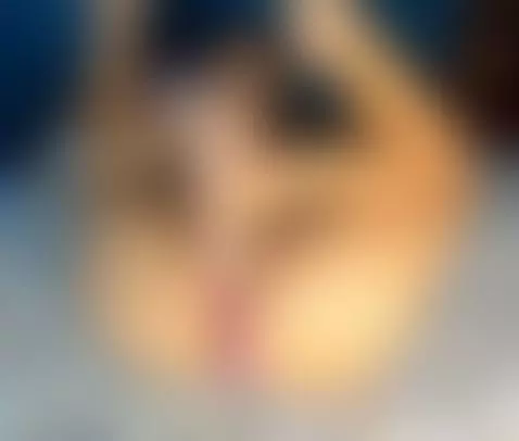 Your cock in my pussy by lindsaymoonn