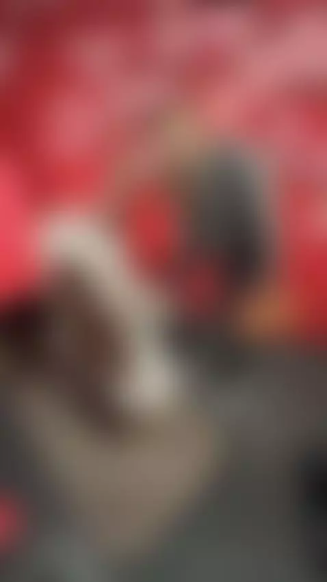 Do you know where we are? by xsweetxcherry