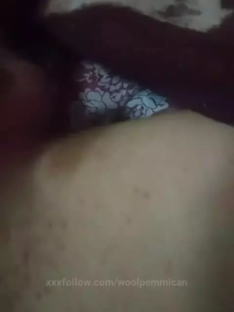 Video by woolpemmican