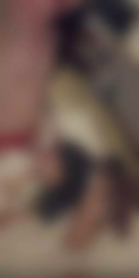 follow me link in bio💙🇧🇷 by camilaxhot22