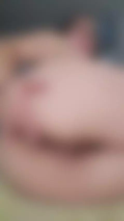 Que rico pasarme los dedos por mi culo, quieres intentarlo? by annia-paris