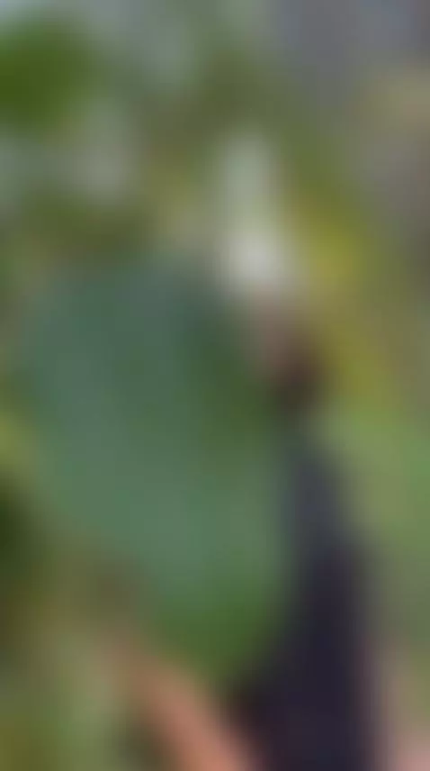 Do we meditate? ✨✨ by marceafroo