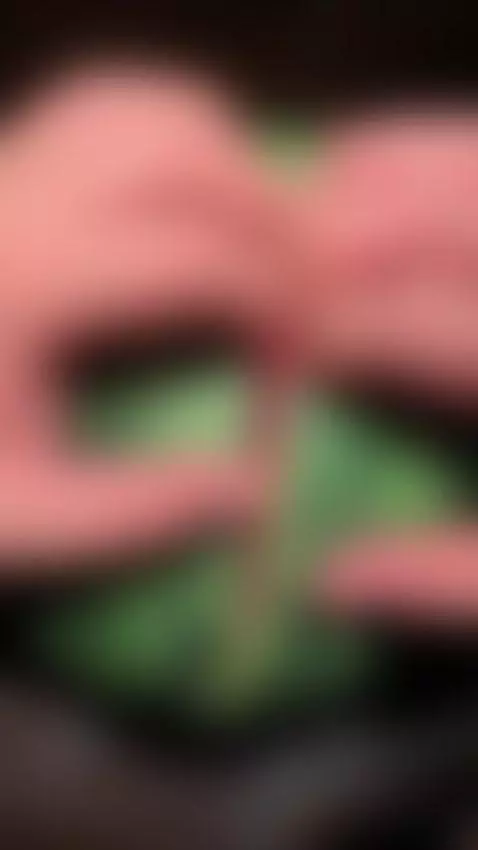 Juicy watermelon🍉💦😈 by msmartinasmith