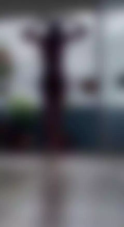 holis by allissonpearson