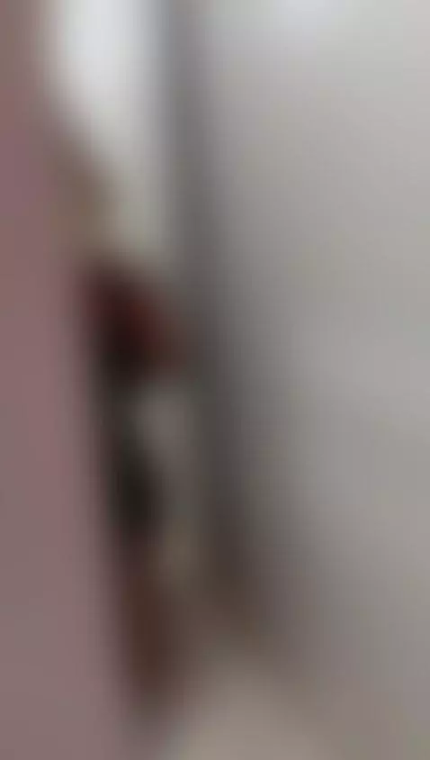 They secretly record me. Do you like it? What's your favorit... by briannaj