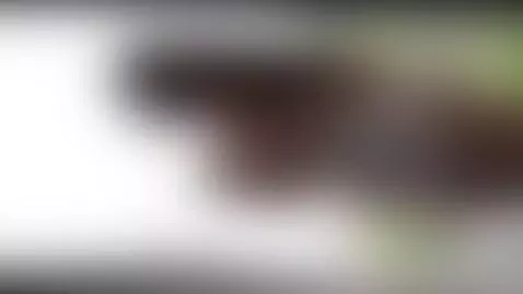 nice sunset 😏🤚 by pradaalpd25