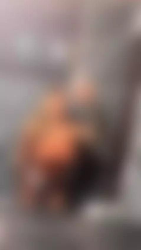 Kis kis kis by georginacoule