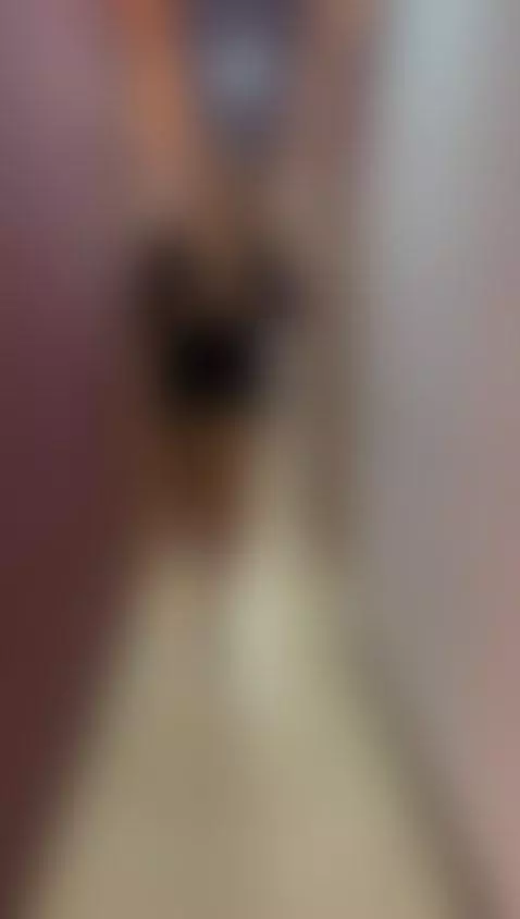 Tu sexy latina! by georginacoule