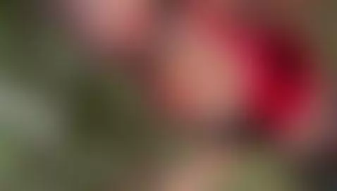 Fuck me in this dark forest by hillamber