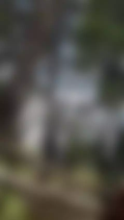 🍒 Bouncing! by hillamber