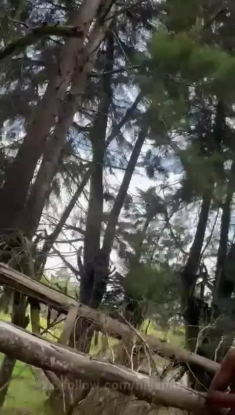 🍒 Bouncing! by hillamber