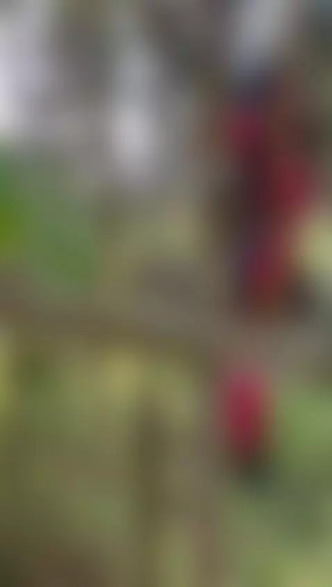 Sneak off and fuck me by hillamber