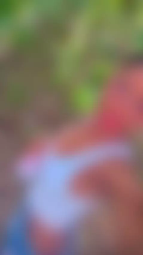 outdoors, outside, glassesgirl by hillamber