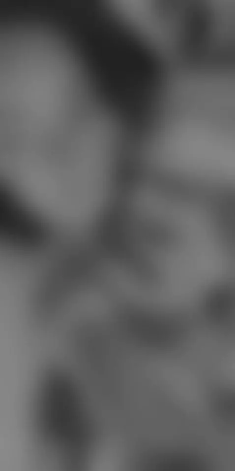 To black and white. by chelseycastellanos