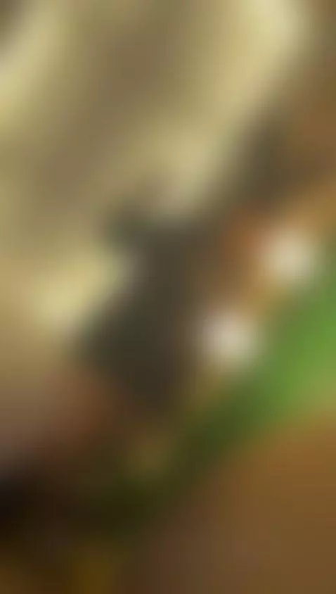 Do you like my oufit? by taylorbenet1