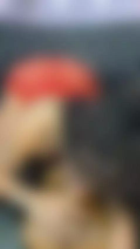 Relax and let me suck your dick like this 😈💥 by safiro-agata