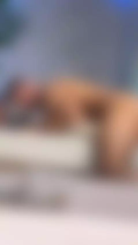 ✨✨ by dickgriffit