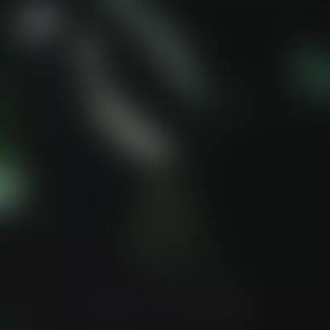 vieron by laurensgoddes