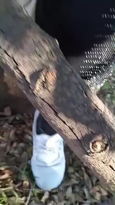 bigass, mature, bigboobs by d-martii