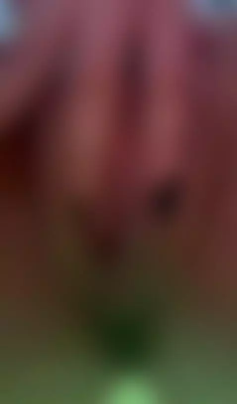 Opening my pussy for you 🔥🥵 by cristal-cornner