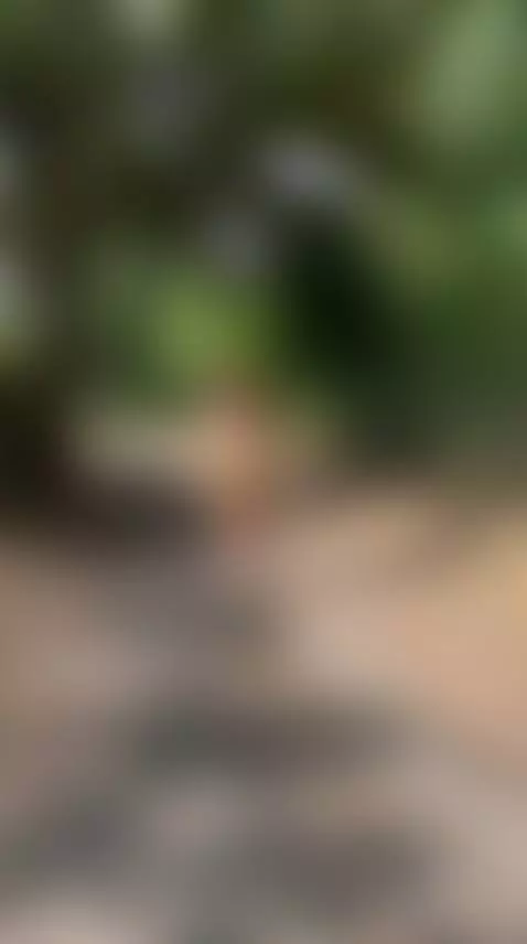 And if you accompany me ?🫣🌳☀️ by alaiarogerss