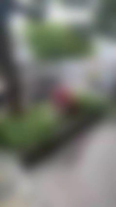 Soon someone will discover my ass🔥 come here honey by alaiarogerss