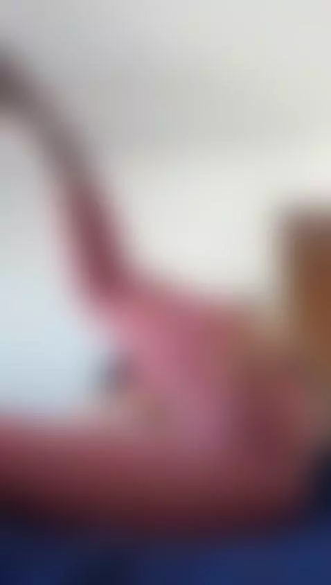 My pussy has standards higher than your credit limit. Spoile... by jasmineof