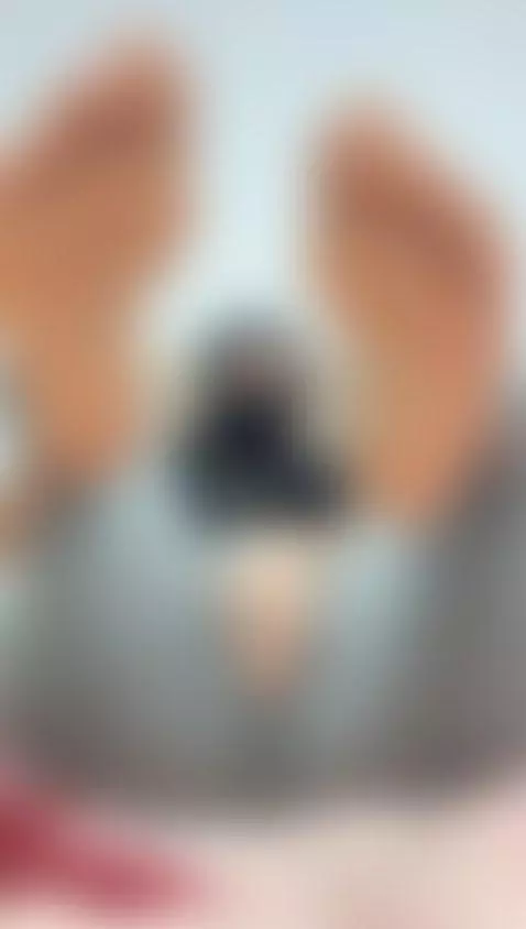 Pussy so blessed it should have its own tier… which one are ... by jasmineof