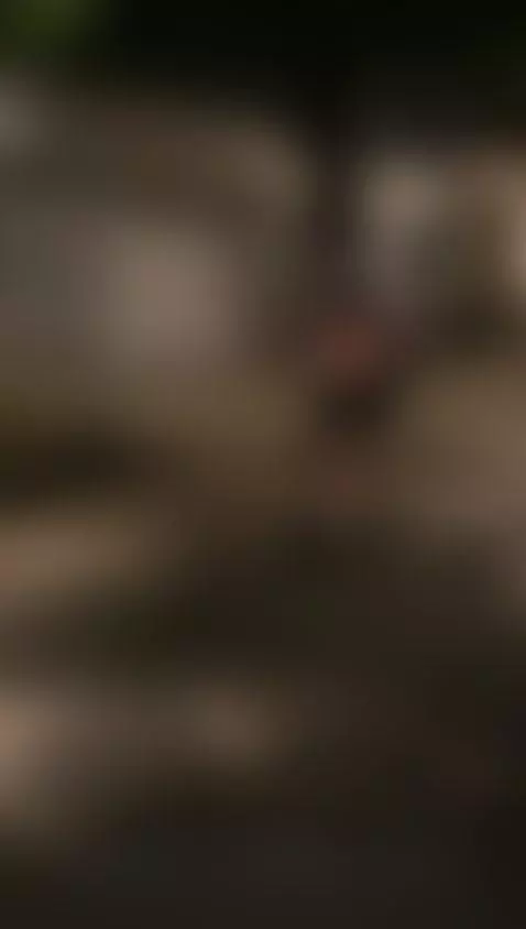 Are we going to take a walk on my skateboard? 🔥 by kendalmiller-1