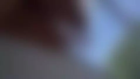 My great outdoor wetting pussy wishing to have your cock las... by kendalmiller-1