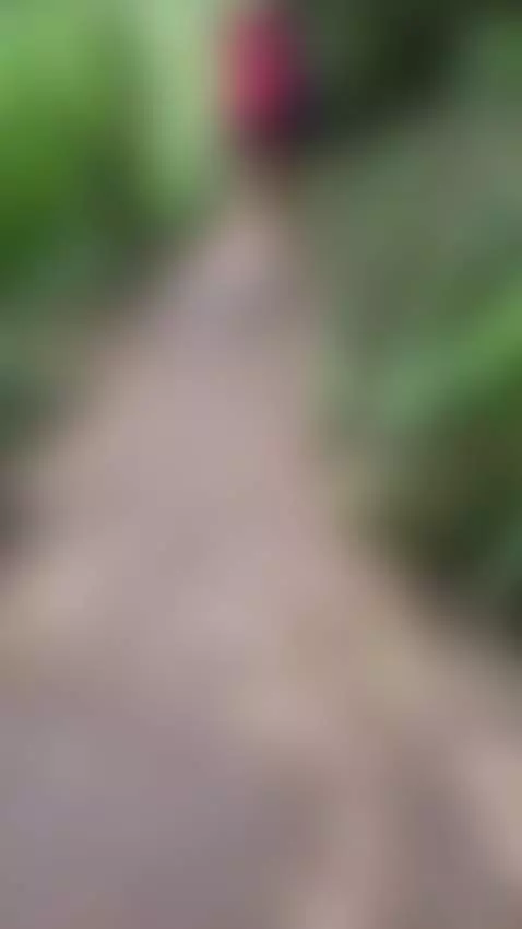 Come with me for a walk in nature✨ by evadaemon1