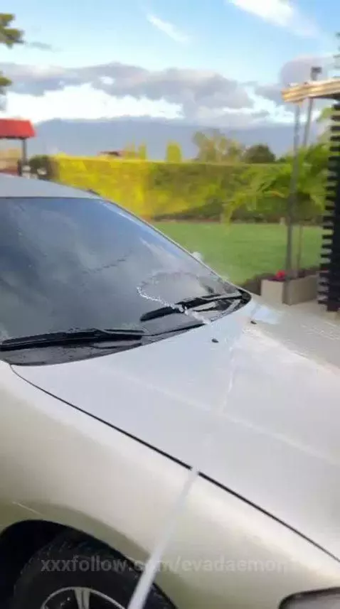 Can you help me with the car? 🔥 by evadaemon1