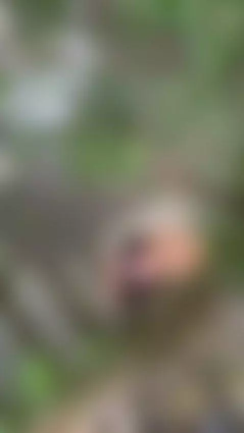 They caught me masturbating in the forest! 🫢 by evadaemon1