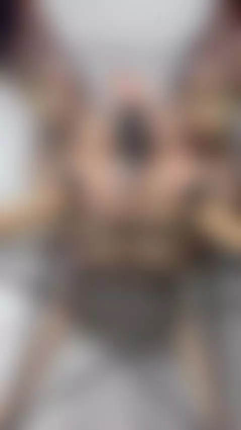 video completo en mi perfil by amypalmmer1