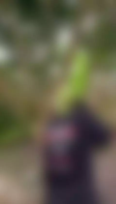 Come are going to take photos, shhhh... 🎃🔥 by amypalmmer1