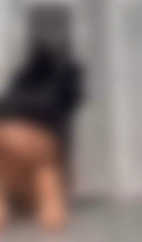 The cat says: there's nothing to see here by amypalmmer1