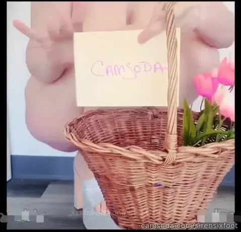 Bonnie's Bunny Basket by sirensixfoot