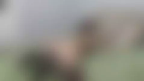 Heels and stockings by evelove