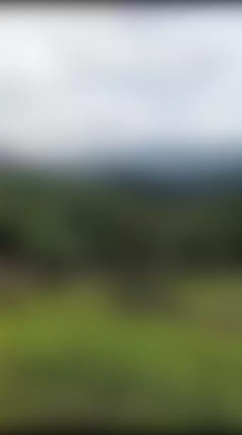 I love nature! 🥰 by ellitaylor