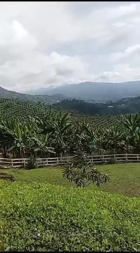 I love nature! 🥰 by ellitaylor