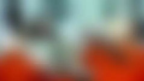 i want mon for u by alixxon1