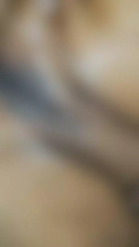 Video by polycouple6869