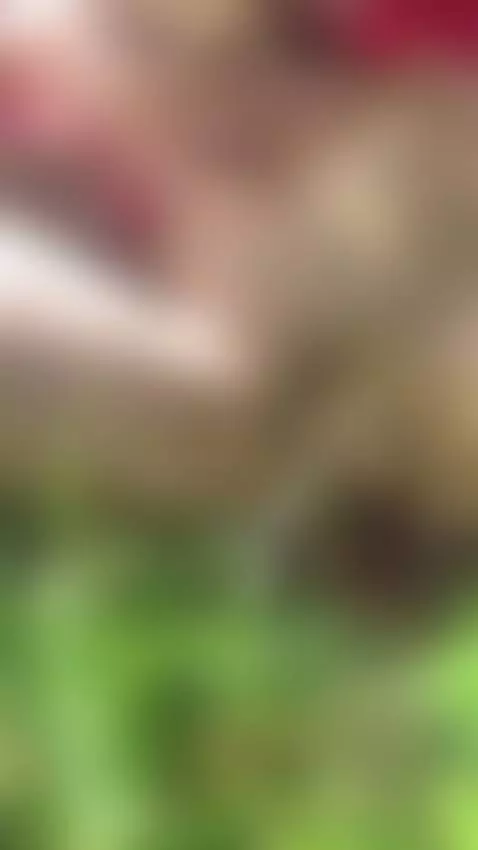https://onlyfans.com/sweethanajapanese by johnhana9