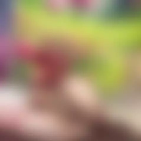 https://onlyfans.com/sweethanajapanese by johnhana9