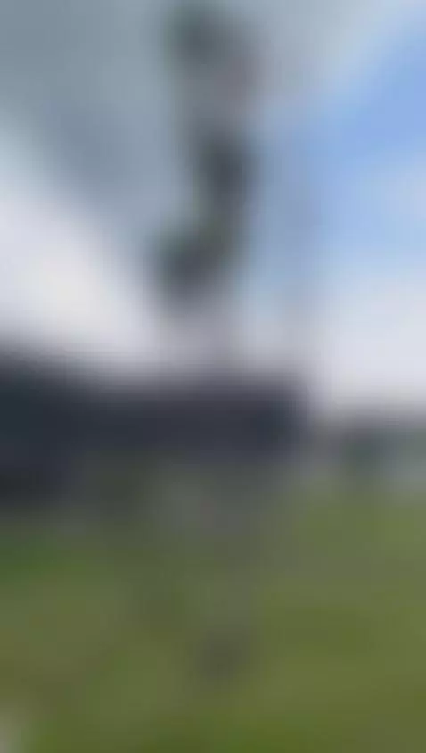 Tits outdoors by aliceferrer1