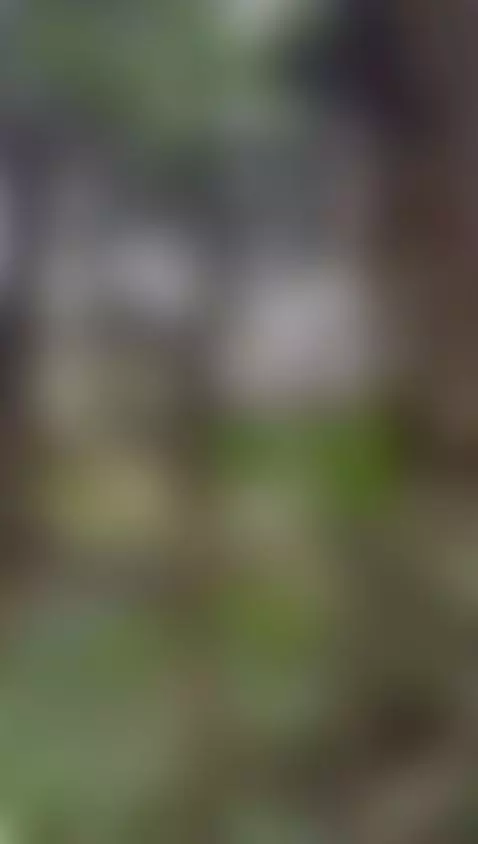 Come and play with me by aliceferrer1