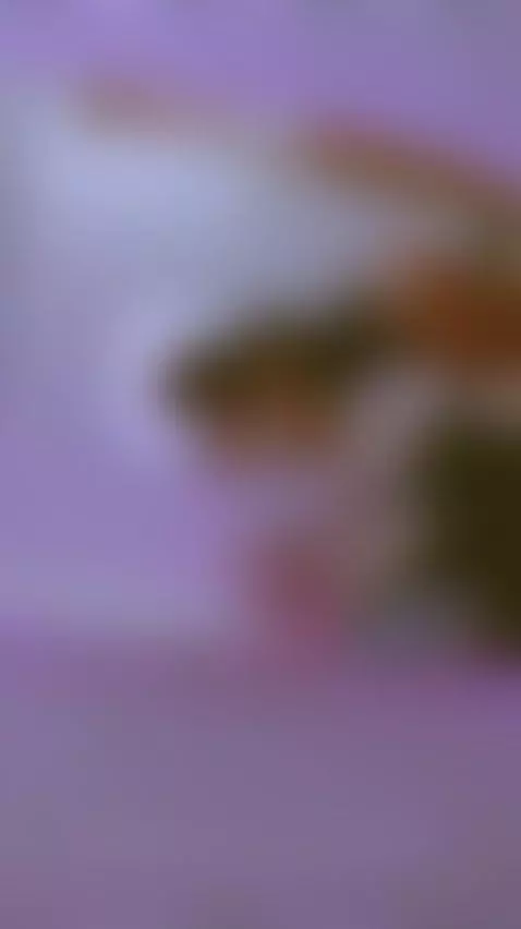 Your devil by aliceferrer1