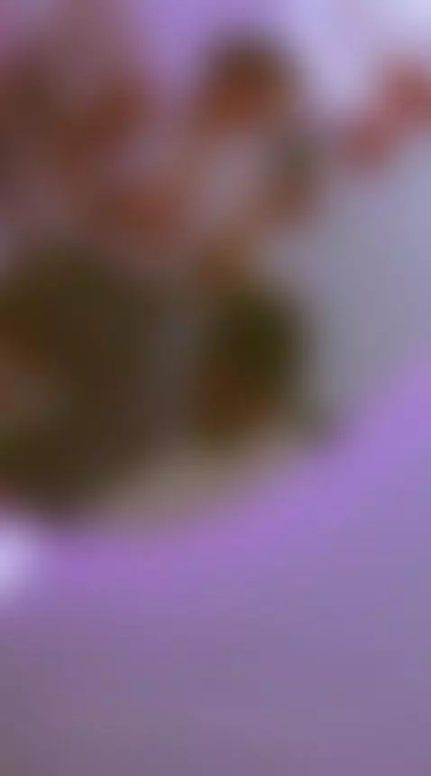 whitegirl, jeans, sexygirl by aliceferrer1