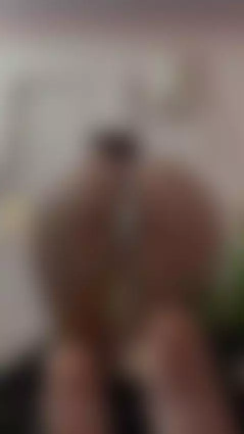 chicablanca, doggy, pussy by aliceferrer1